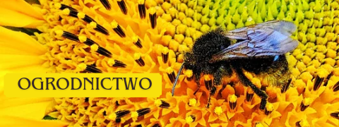 Ogrodnictwo