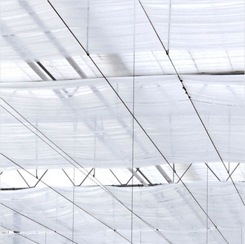 Folia podwieszkowa PLASTIKA KRITIS 2356 szerokość 6,5 metra