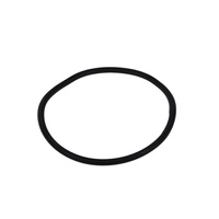 Uszczelka Filtra Alfa 2"