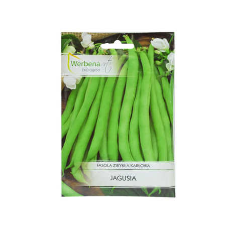 Fasola zielona Jagusia 40g