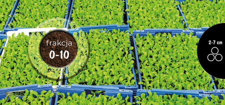 Podłoże Substrat profesjonalny: frakcja 0-10 mm / 70 litrów