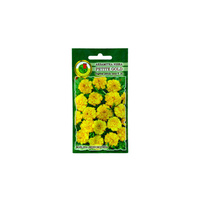 Aksamitka Petite Gold 1g